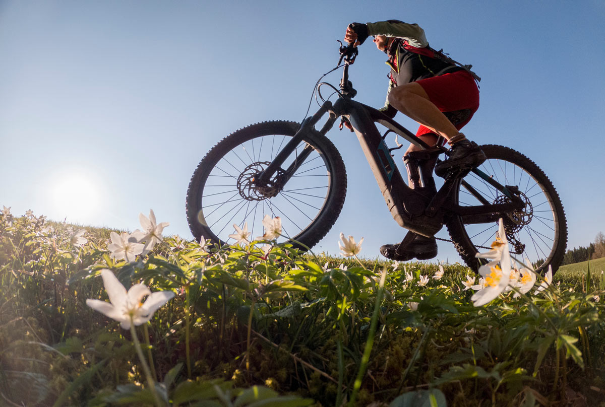ebike-check-fruehling