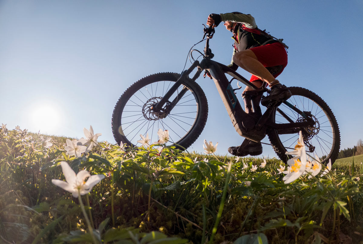 ebike-check-fruehling