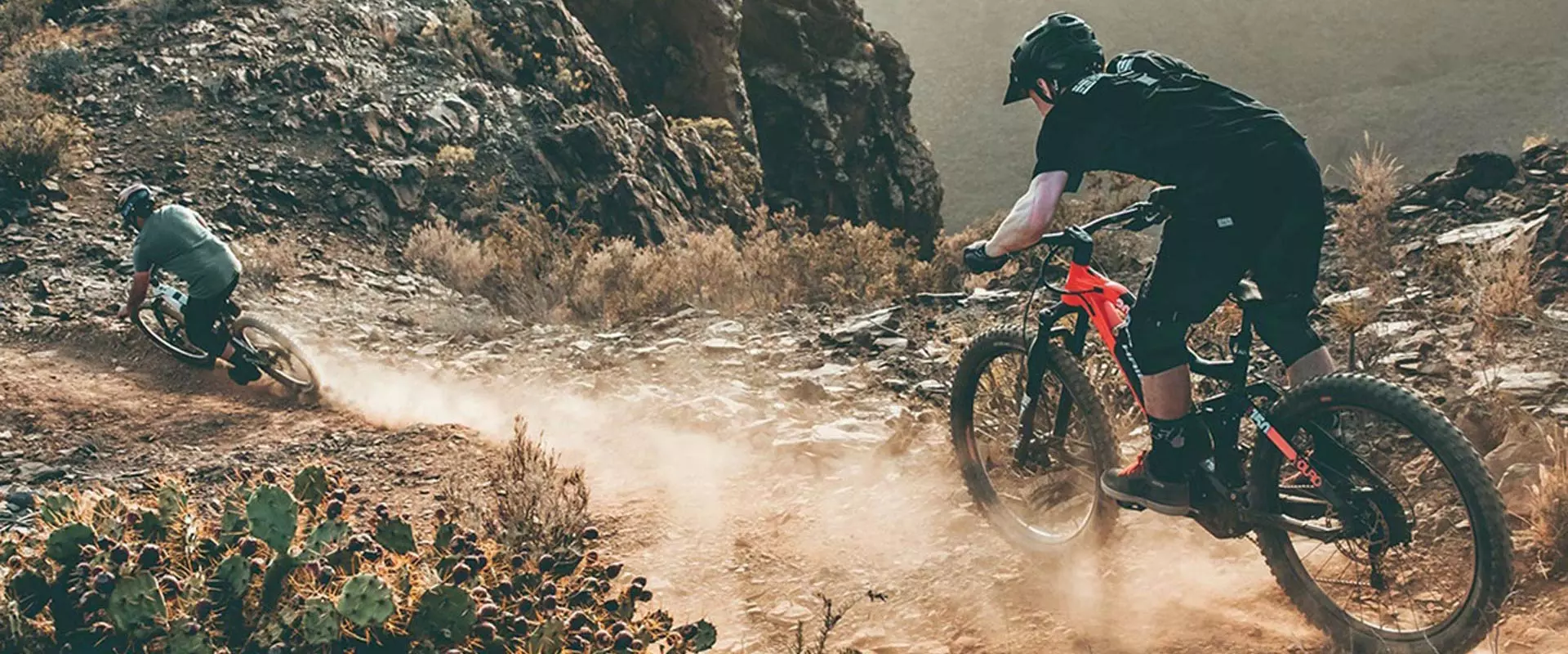 Jetzt E-Bikes entdecken!